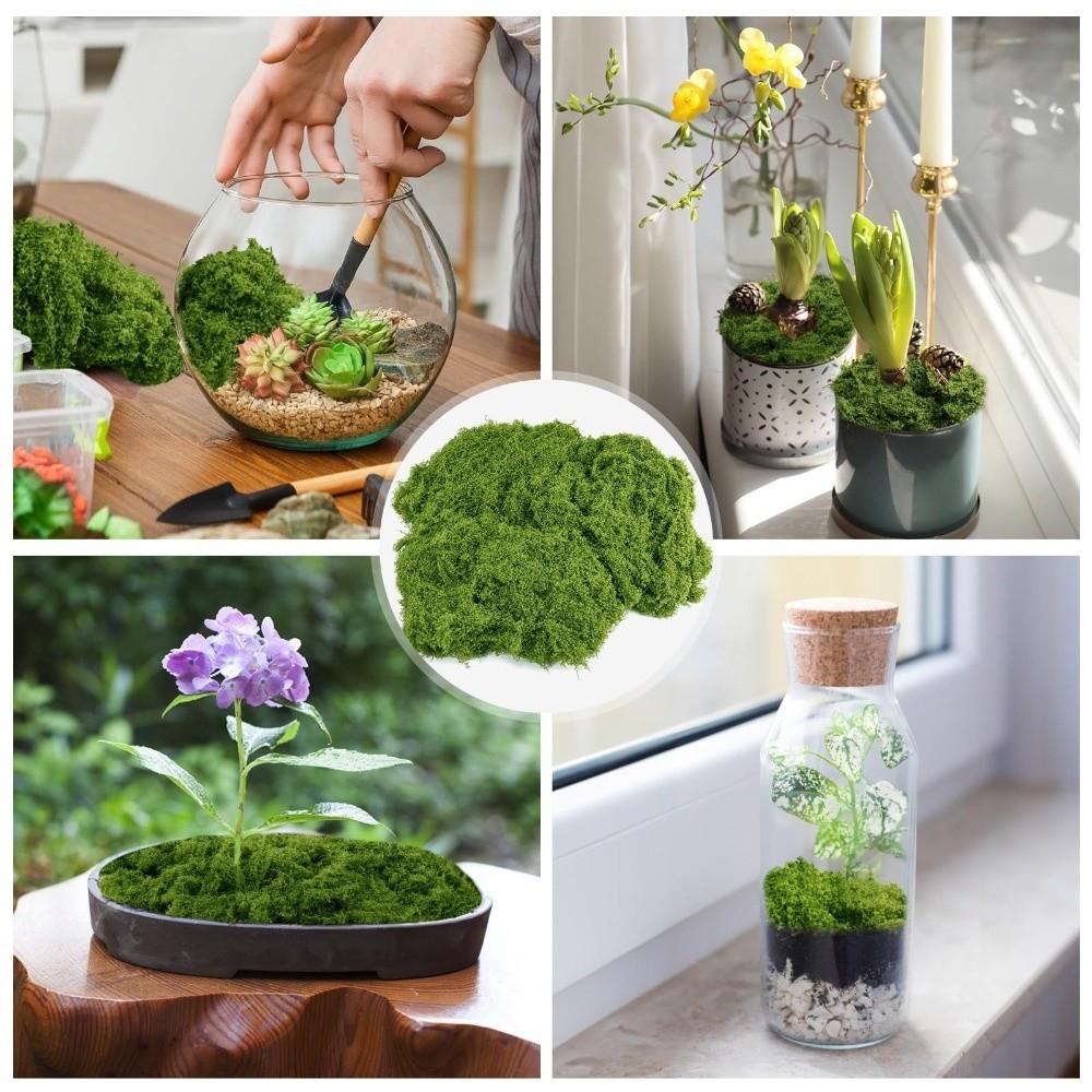 폴리에스터 인조 이끼 식물 DIY 공예품 사실적인 질감 - Terrarium Moss Art 리뷰 및 가격