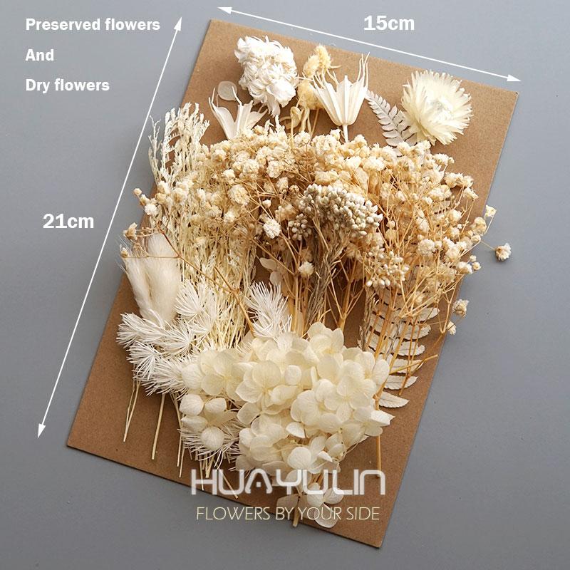 1 팩 인공 식물 말린 진짜 꽃 보존 재료 에폭시 수지 - Flower Preservation Resin 리뷰 및 가격